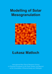 Dissertation_2008_Matloch__Lukasz