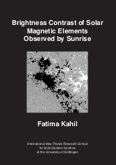 Dissertation 2019 Fatima Kahil